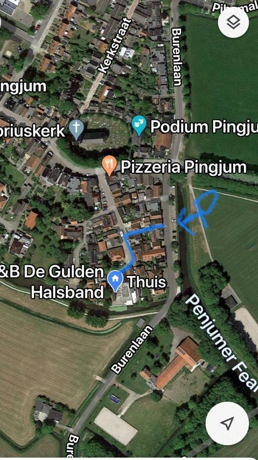 B&B De Gulden Halsband Pingjum Ngoại thất bức ảnh